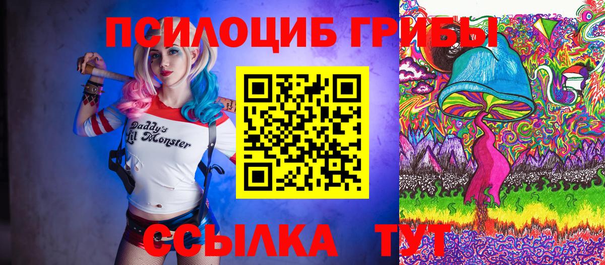 купить  цена  Вход с VPN  Новый Уренгой  Галлюциногенные грибы Psilocybe 